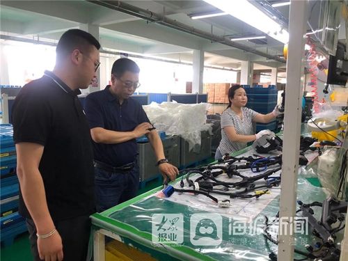 筑牢安全防線，護航企業發展——海陽工信局組織開展勞保用品安全專項監督檢查工作